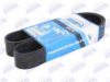 RENAULT 7420558734 V-Ribbed Belts